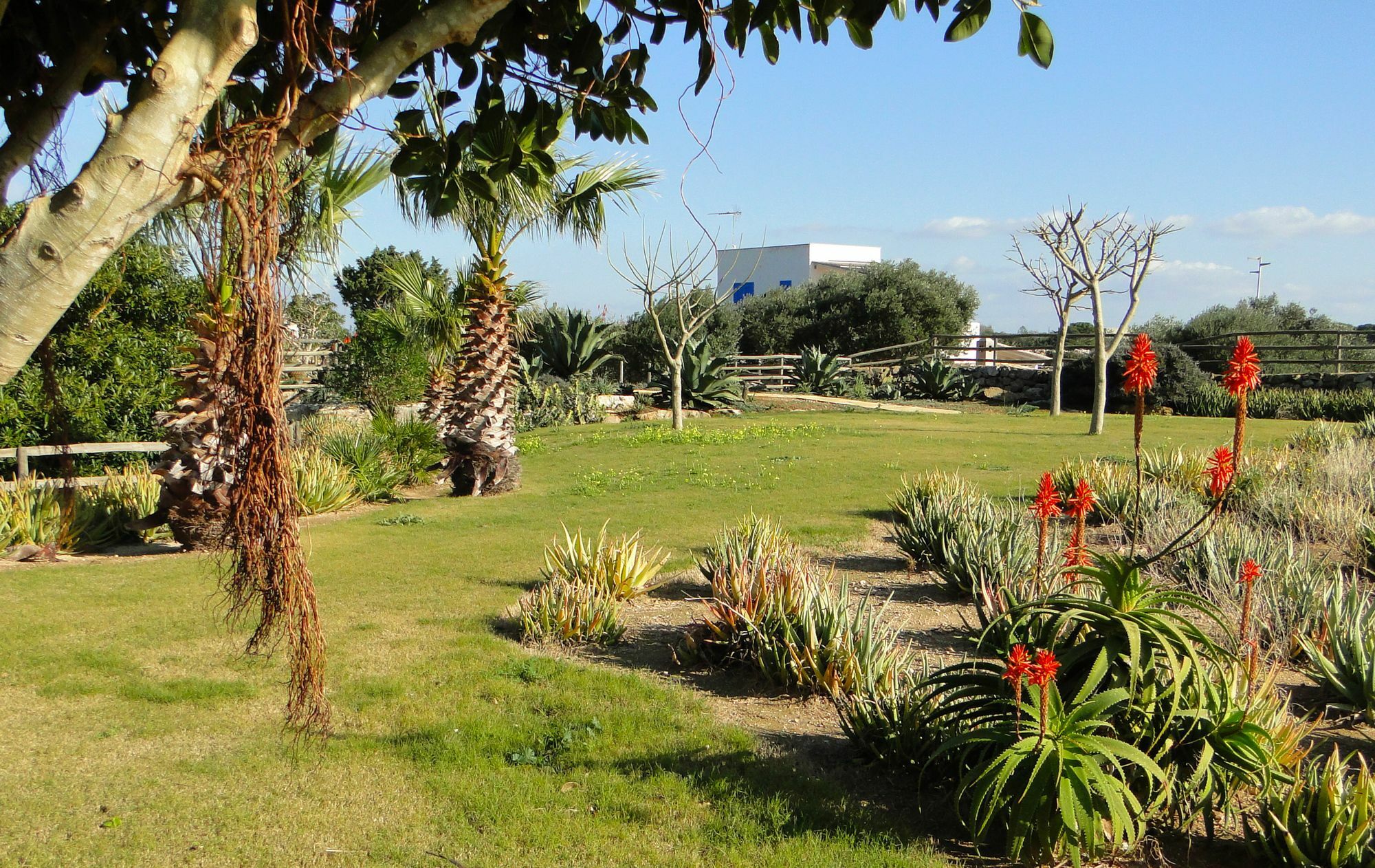 Il Giardino Delle Aloe Guest House Favignana Exterior photo