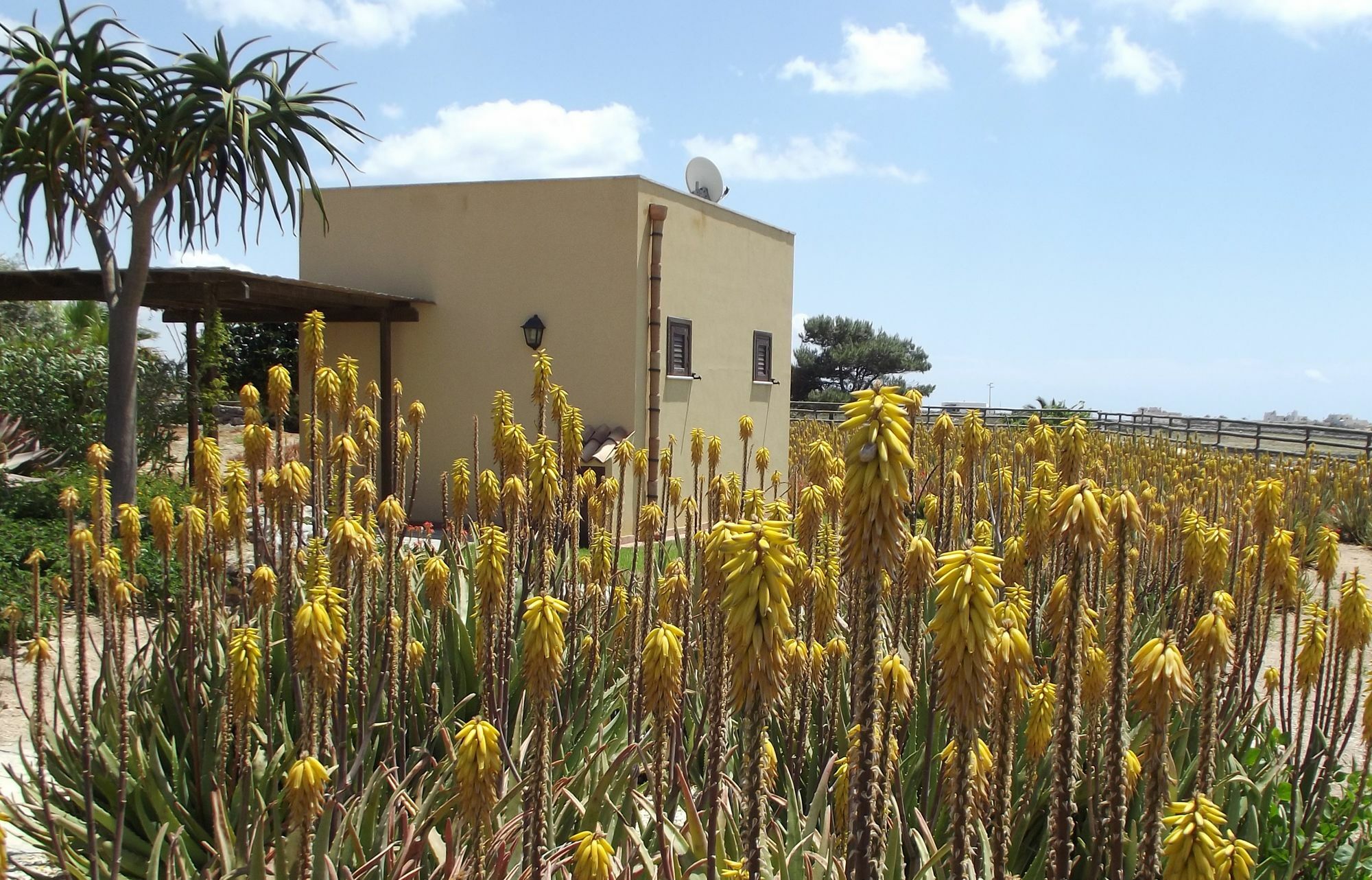 Il Giardino Delle Aloe Guest House Favignana Exterior photo