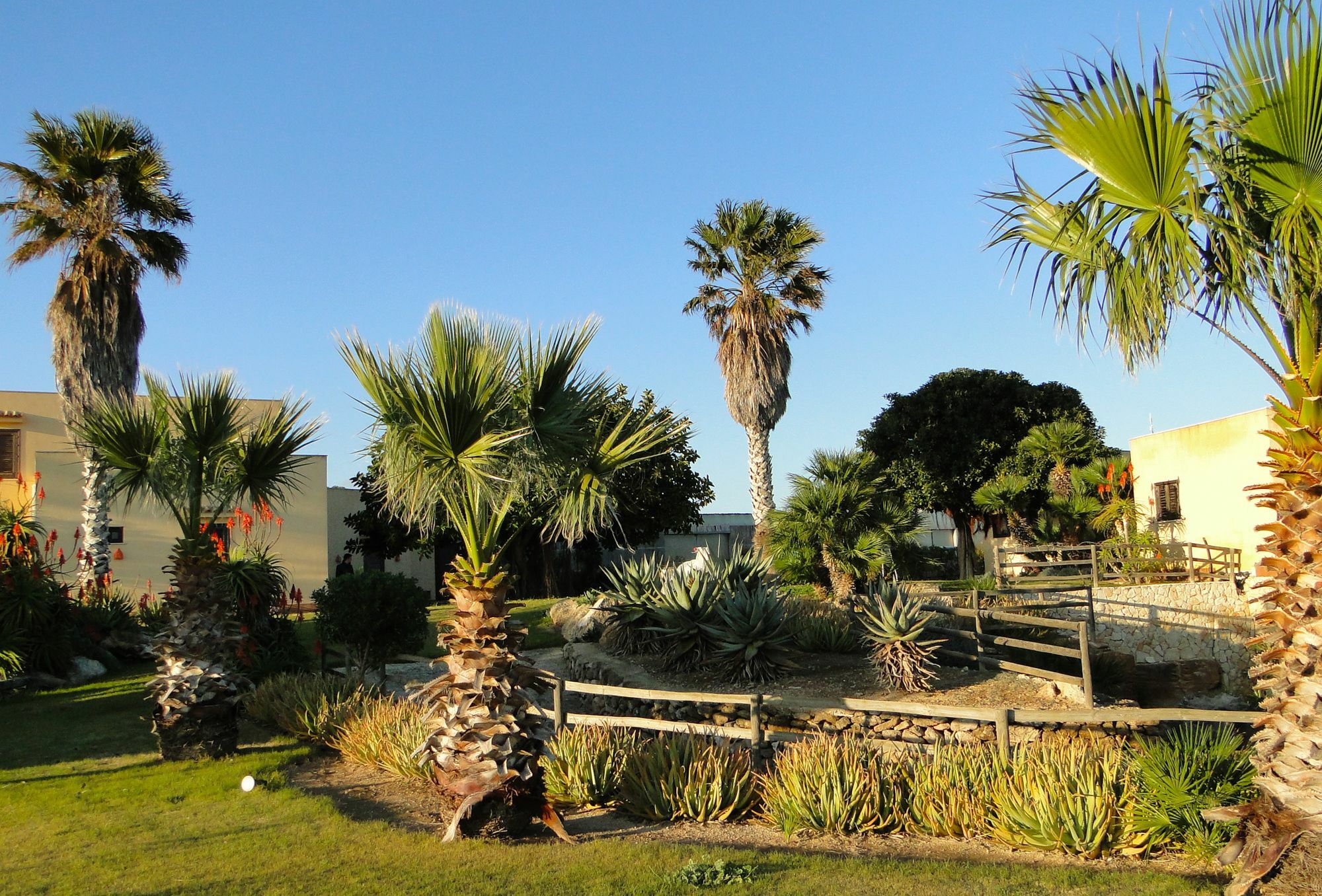 Il Giardino Delle Aloe Guest House Favignana Exterior photo